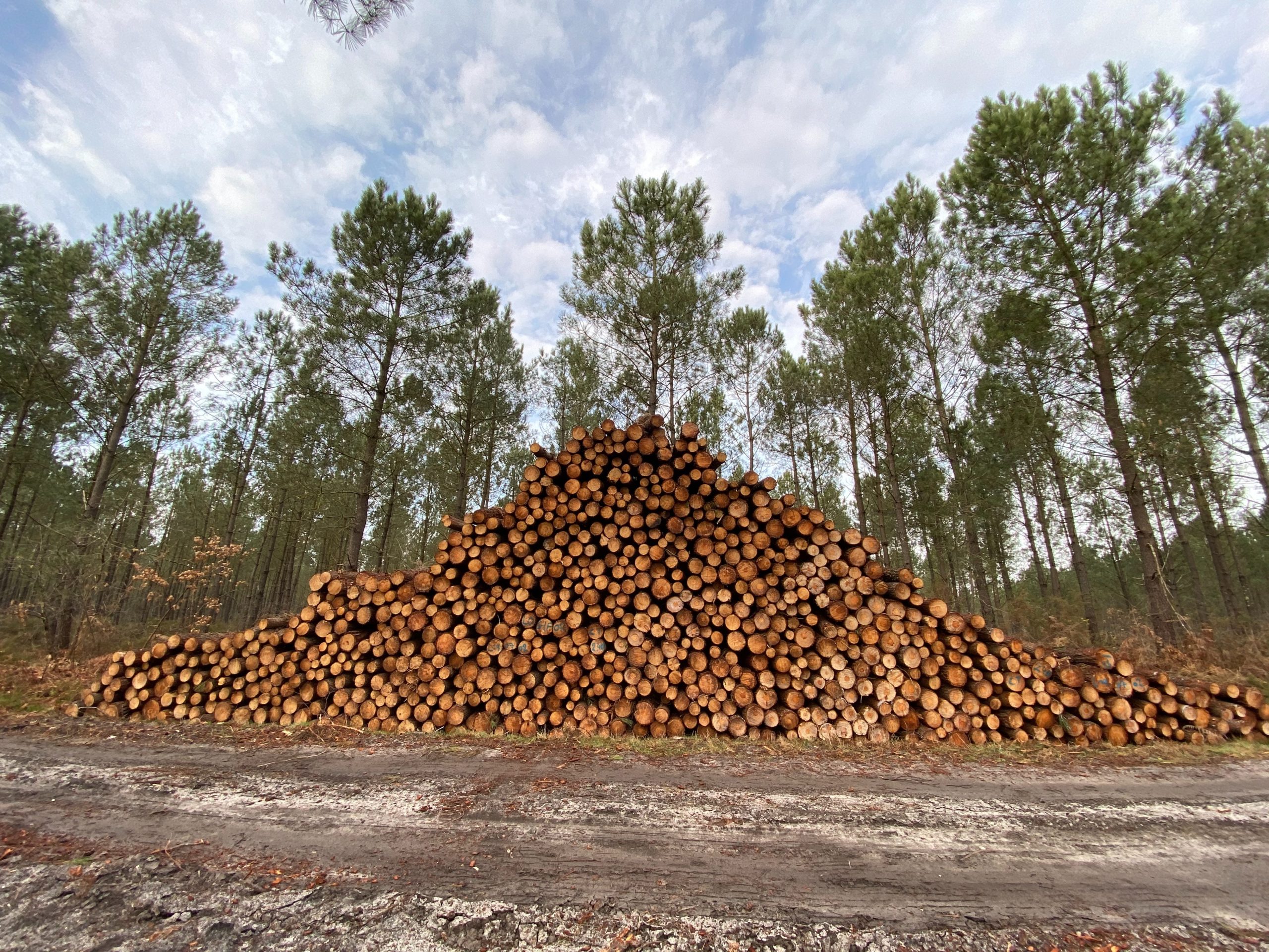 SUNYOK 1pcs Foret De Fendage Bois Cône à Fendre Bûches 32mm Fendeuse